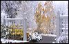 Arboretum  0515.jpg