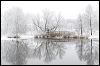 Arboretum Bridge _1564.jpg