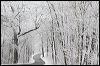 Snowy Passage 1767.jpg