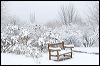 Winter Bench_1733.jpg
