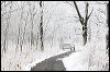 Winter Walkway_1671.jpg