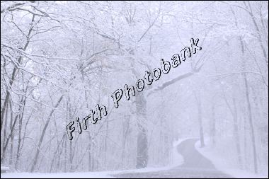 april_bilzzard_1751.jpg