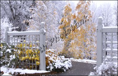 arboretum__0515.jpg