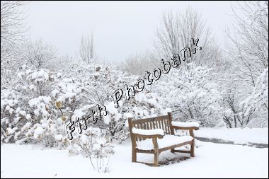 winter_bench_1733.jpg