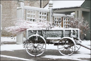 winter_wagon_1512.jpg