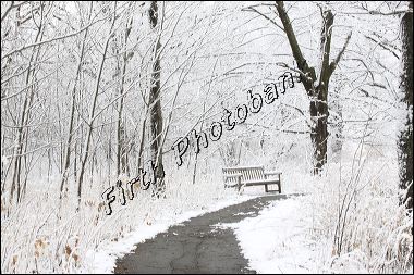winter_walkway_1671.jpg