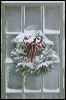 Wreath _5985.jpg