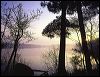 Savanna Portage MM5032  PC.jpg