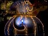 Hollidazzle _6481.jpg