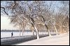 Lake Harriet  8949.jpg