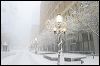 Minneapolis blizzard_8634.jpg
