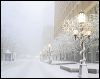 Mpls Blizzard tf crop#A69F5.jpg