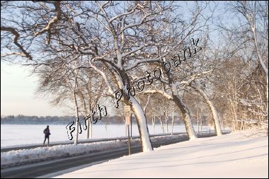 lake_harriet__8949.jpg