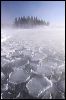 Breakfast Donuts at 2#A6998.jpg