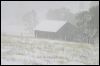 Blizzard n Barn 200122.jpg