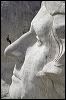 Mt Rushmore  Geo. Was#A6CCF.jpg