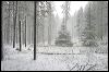 Snowy Woodlands 200113.jpg