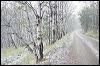 Winter road BHSD IMG_0030.jpg