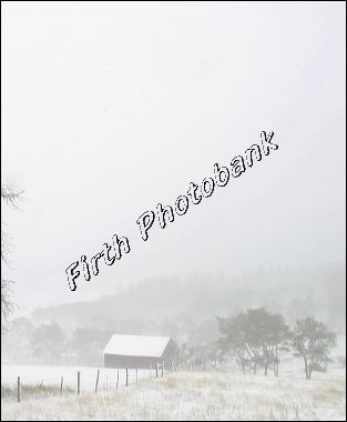 black_hill_snow_scene_a6cc2.jpg