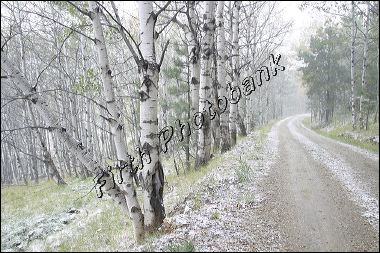 winter_road_bhsd_img_0030.jpg
