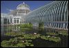 Como Conservatory,  St Paul MN  _0605.jpg