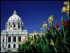 MN State Capitol with Flowers, St. Paul, MN  shrp.jpg