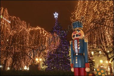 holiday_display_at_rice__39.jpg