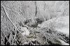 Minnehaha Creek in Mi#A68F7.jpg