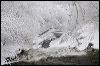 Minnehaha Falls Winte#A68F8.jpg