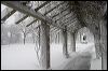 Minnehaha Park 8880.jpg