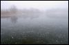 Snapping Turtle Lake 5885.jpg