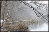 Stone Lake _4844.jpg