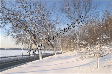 lake_harriet_8953.jpg
