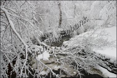 minnehaha_creek_in_mi_a68f7.jpg