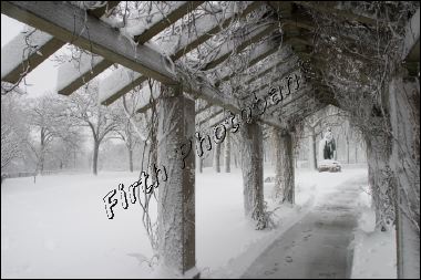 minnehaha_park_8880.jpg
