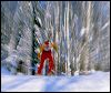 Motion - Cross Country Skier