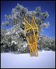 Snowshoes