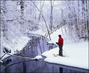 snow_shoeing_carver_p_a686a.jpg