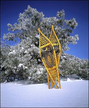 snowshoes.jpg