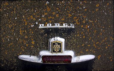 dodge__logo_filter_0835_1.jpg