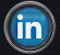 LinkedIn Button