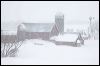 Country Blizzard IMG_9615.jpg