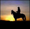 Cowboy on Horse Silho#A6D33.jpg