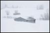 Farming snow _9589.jpg