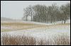 Fields and Woods CRW_#A6D38.tif