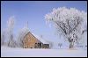 Frosty Carver County #A6D39.jpg