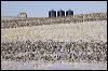 Kelzers Winter Field _5409.jpg