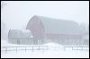 Snowstorm on a Minnes#A6D40.jpg