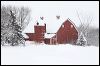 Snowstorm on the Farm#A6D41.jpg