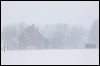 Wheres the Farm IMG_8559.jpg